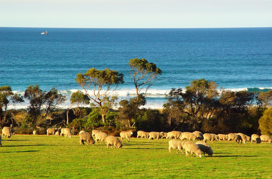 Tasman Landscape